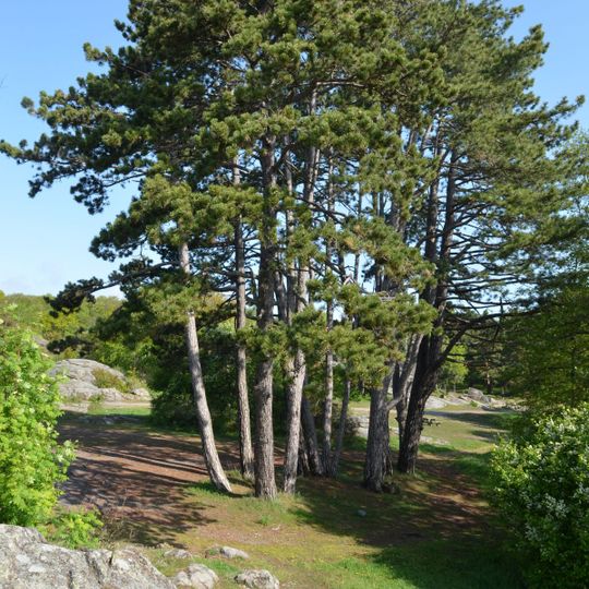 Badehusbukta/Skråvika