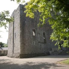 Château de Maynooth