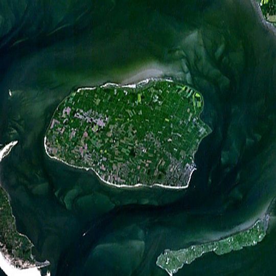 Föhr