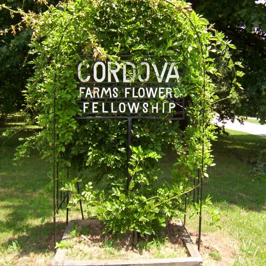 Cordova