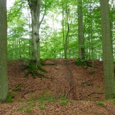 Stadtwüstung Blankenrode