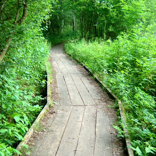 Domedejla mosse med omgivningar