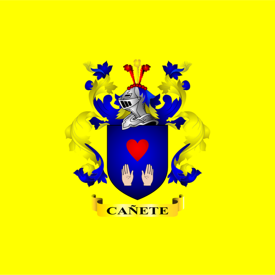 Distretto di San Vicente de Cañete