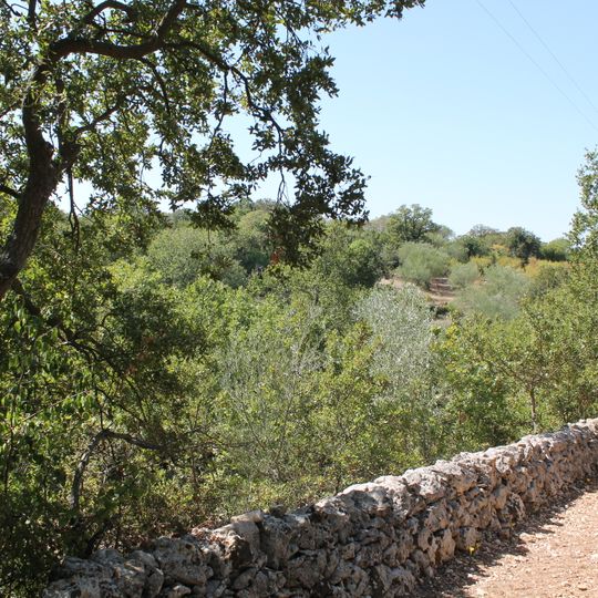 Oasi WWF dei Boschi Romanazzi