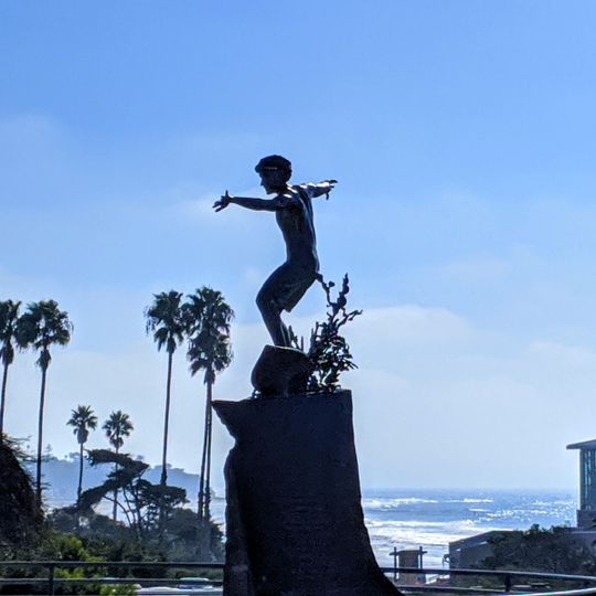 Cardiff Kook