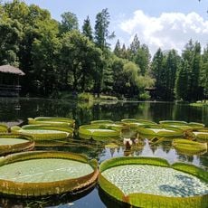 Binjiang Forest Park