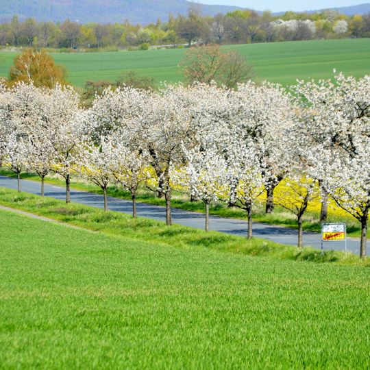 Klosterlandschaft Marienrode