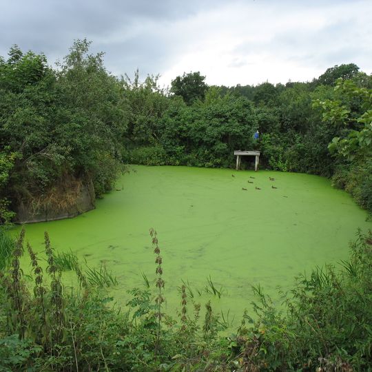 Orchard with Vegetable Garden and Pond, Valaam Monastery