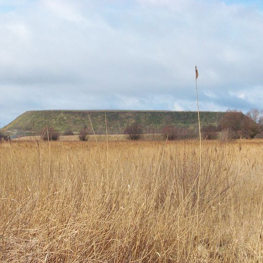 Wiślinka