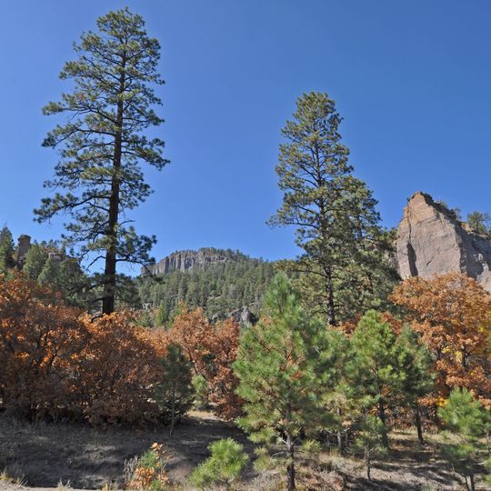 Chuska Mountains