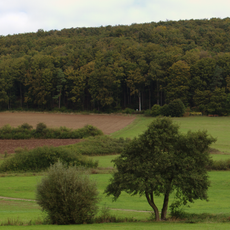 Haimberg bei Mittelrode