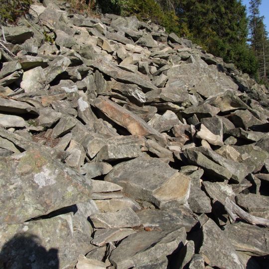 Rezerwat przyrody Luboń Wielki