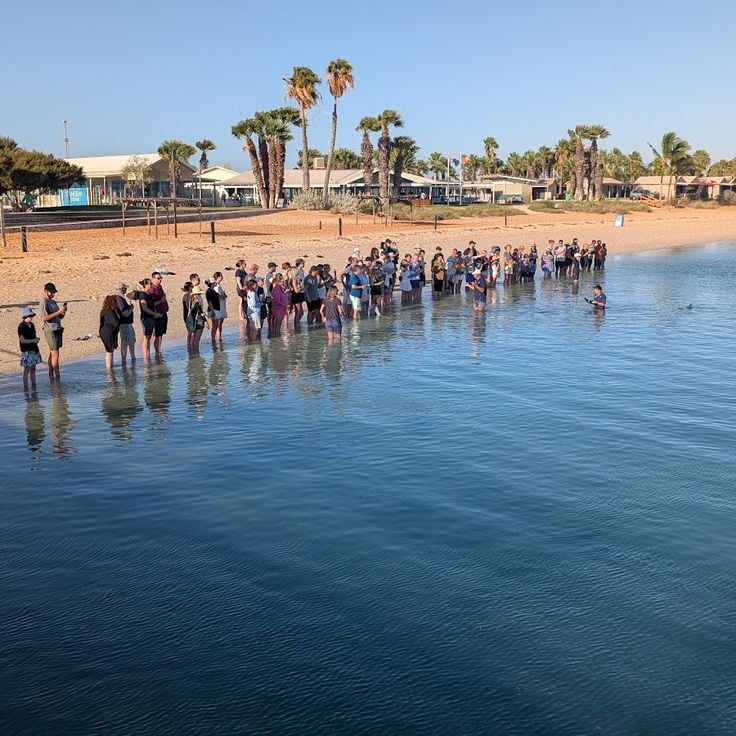 Dolphin Visitor Centre