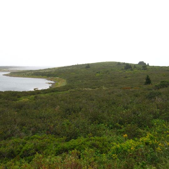Fort de l'Île Grassy