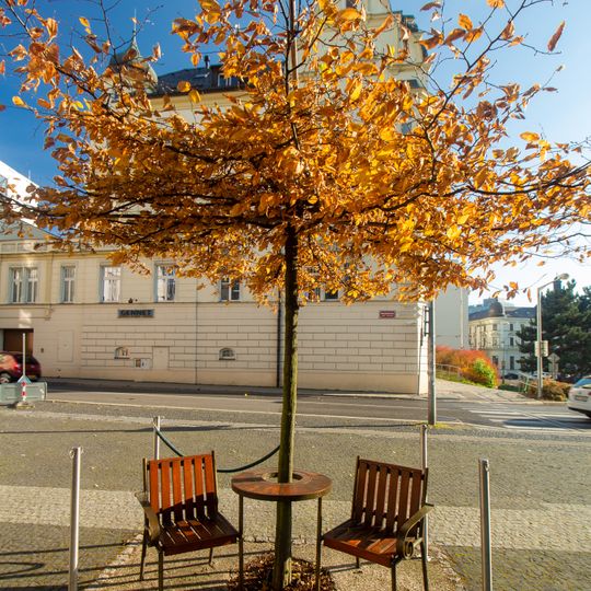 Lavička Václava Havla