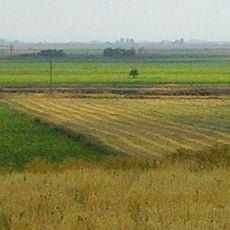 Çatal Höyük
