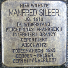 Manfred Silber