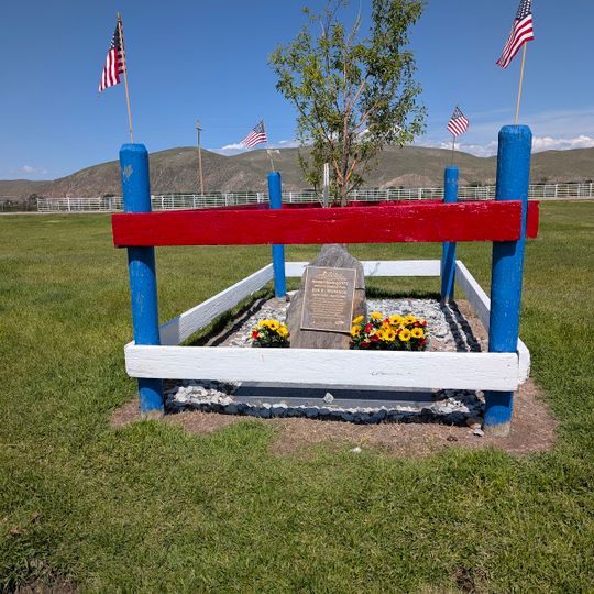 Old Pitt, Elephant Killed by Lighting