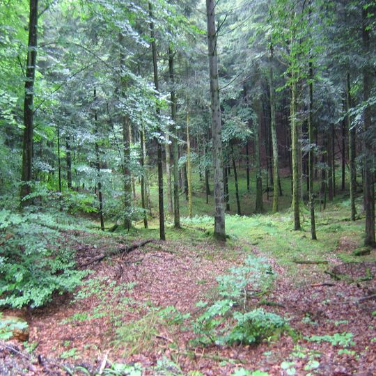 Geowanderweg Tettnang