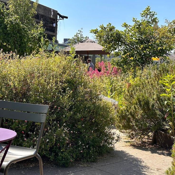 Queen Elizabeth Roof Garden Bar and Cafe