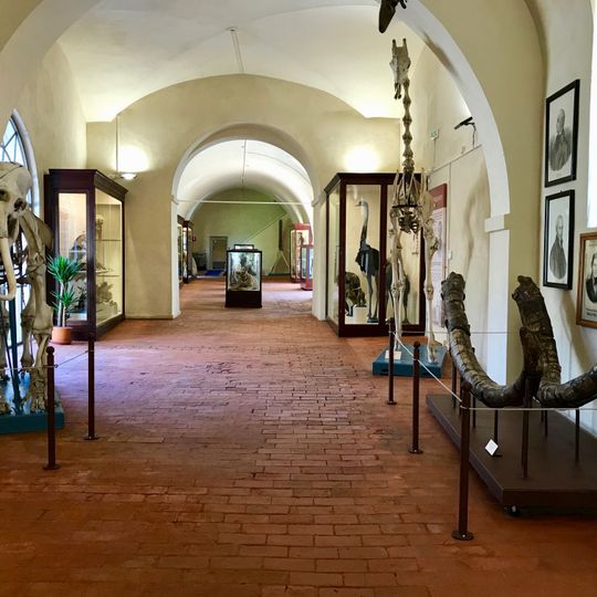Museo di storia naturale dell'Università di Pisa
