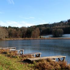 Waldweiher
