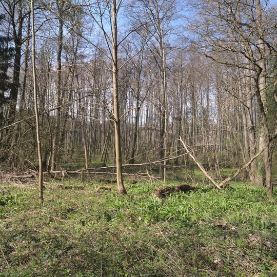 Bliesaue zwischen Blieskastel und Bliesdalheim