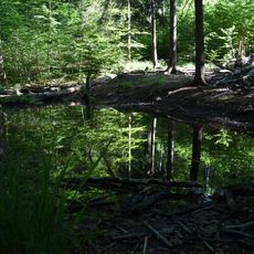 Amphibienteich an der Göppinger Steige