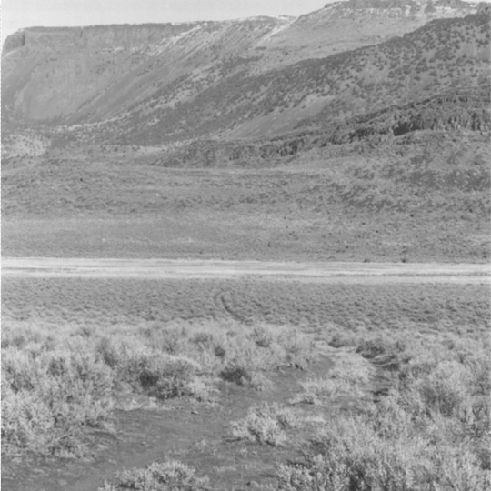 Puente de Piedra y el Camino Militar Central de Carro de Oregón