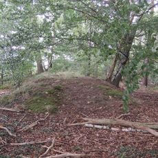 Großsteingrab Westerweyhe