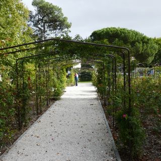 Rose garden of Parc Mauresque (Arcachon)