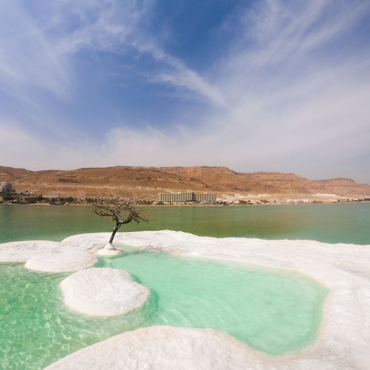 Dead Sea Salt Mushrooms