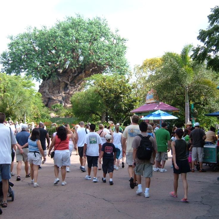 Disney's Animal Kingdom