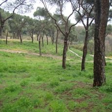 Dehesa de la Villa Park