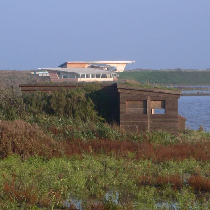 Titchwell Marsh Nature Reserve