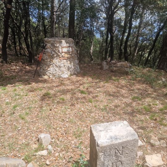 El Pedró de Sant Miquel