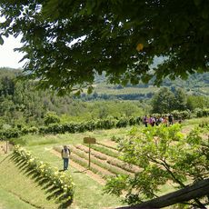 Giardino delle erbe Augusto Rinaldi Ceroni