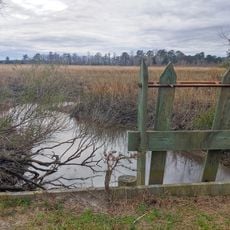 Ernest F. Hollings Ace Basin National Wildlife Refuge