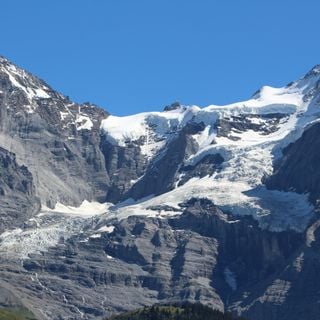 Guggi glacier