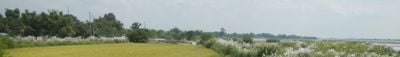 Panoramaudsigt 1