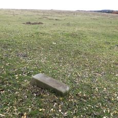 Kříž východně od Vidžína