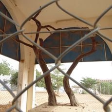 Arbre du Ténéré