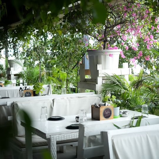 Oyster, Bar & Kitchen