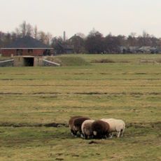 Sluismolen