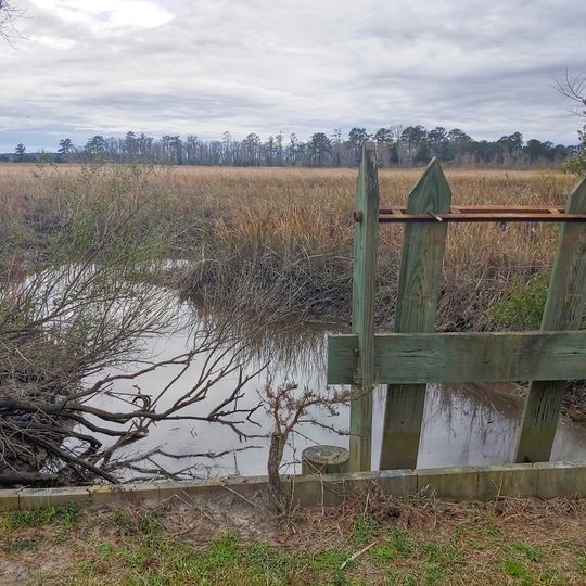 Ernest F. Hollings Ace Basin National Wildlife Refuge