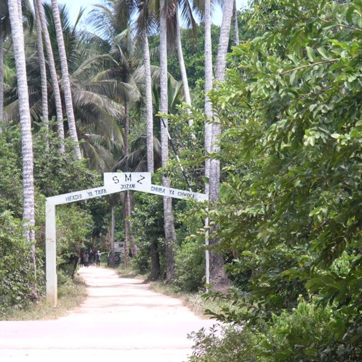 Park Narodowy Jozani Chwaka Bay
