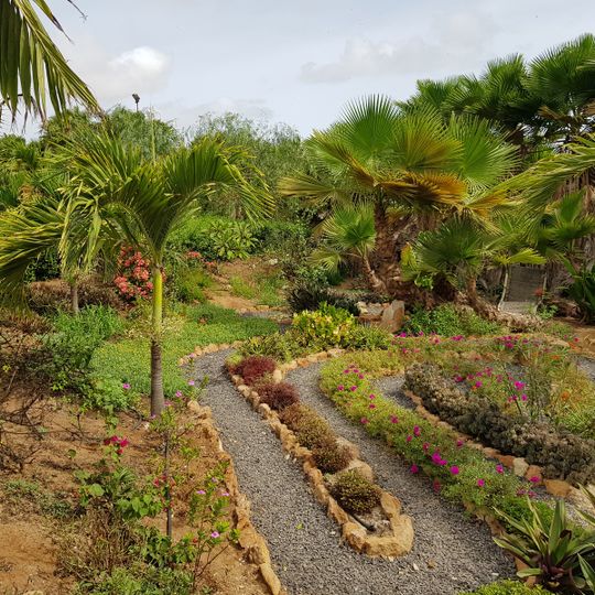 Pachamama eco-cafe & park/Jardim Botânico Viveiro