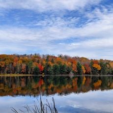Hills Creek State Park