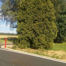 Kříž severně od Salačovy Lhoty