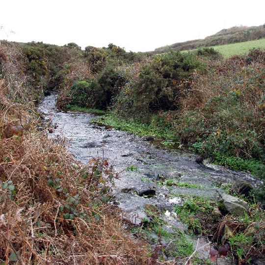 Lower Bostraze and Leswidden SSSI